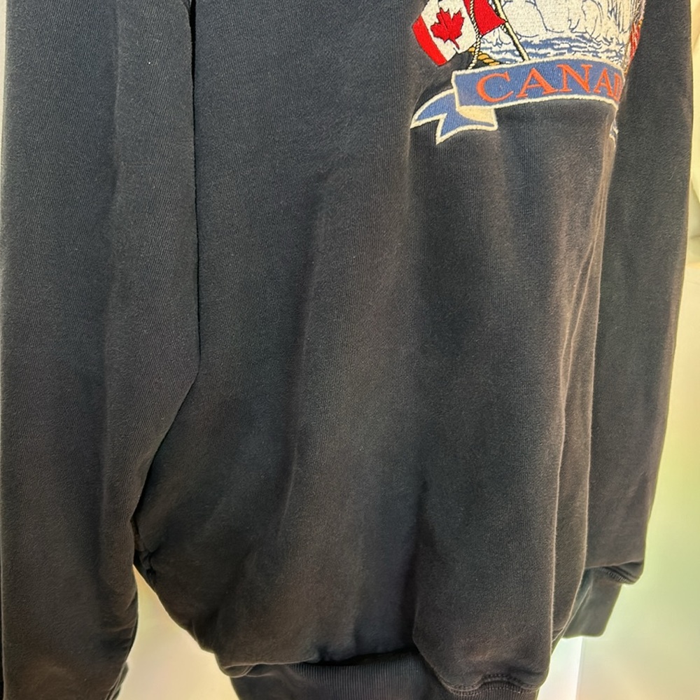 Brandy Melville Niagar falls canda oversize crewneck - Picture 16 of 16